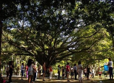 ght-b-alunos-arvore-praca-450